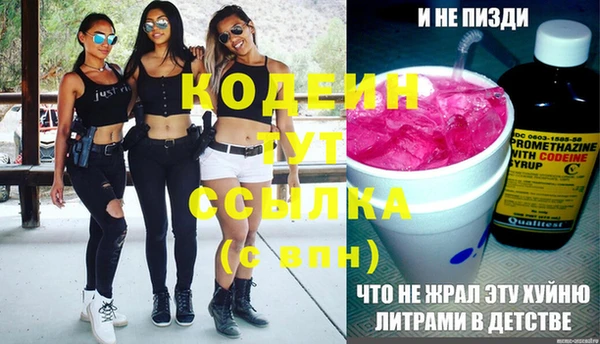 гидра Верея