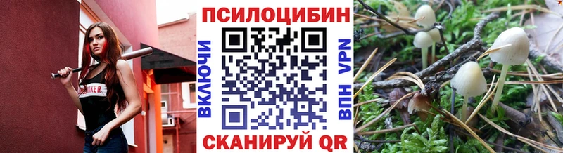 Купить  Лагань  Галлюциногенные грибы GOLDEN TEACHER 